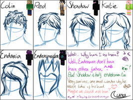 I tried design the hairstyles for each individual character. I also added a small comic thingy. For more in dept informatino click the picture, it will send you to my blog were I explain every drawing in detail.