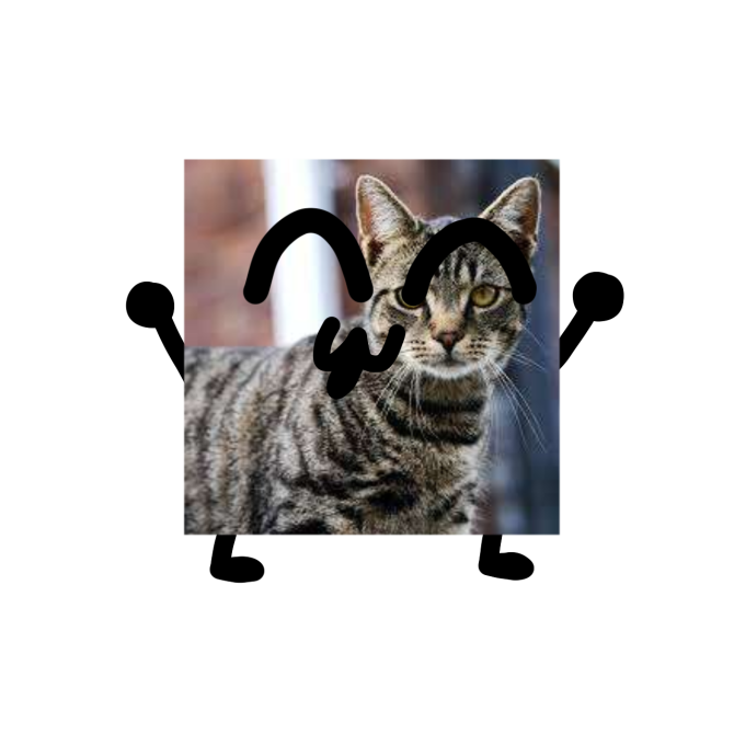Cat | Wilow's Object Show Universe Wiki | Fandom