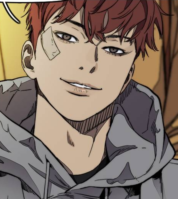Wind Breaker Webtoon
