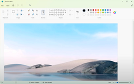 Microsoft Paint window