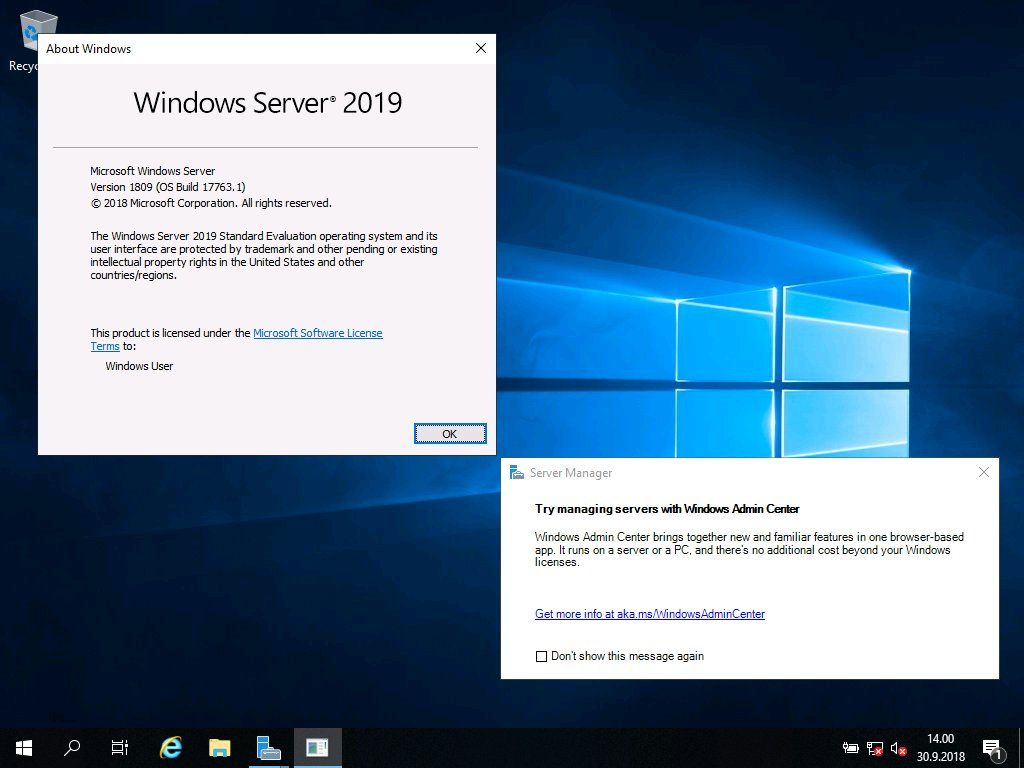 Microsoft Windows Server 2019