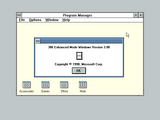Windows 3.0