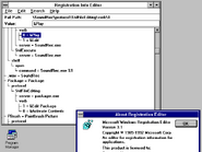 Windows 3.1 Registry Editor.