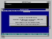 Windows 3.1 running a MS-DOS windowed program.