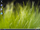 Development of Windows Vista