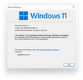 About Windows 11 build 21996.1