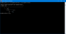 WSL