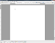 A screenshot of computer software - Microsoft Word