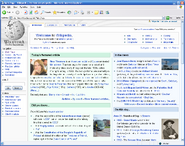 Internet Explorer Browser V6