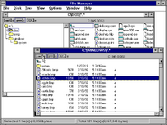 Windows 3.1 File Manager.