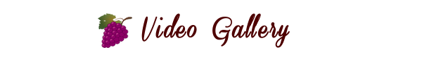 Gallery.png