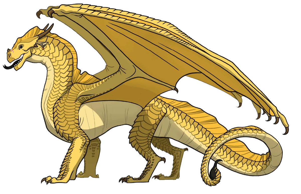 Qibli Wings of Fire Wiki Fandom