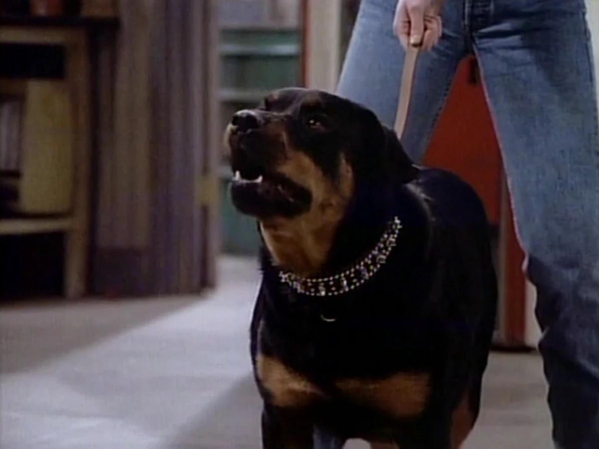 Chopper Wings Fandom