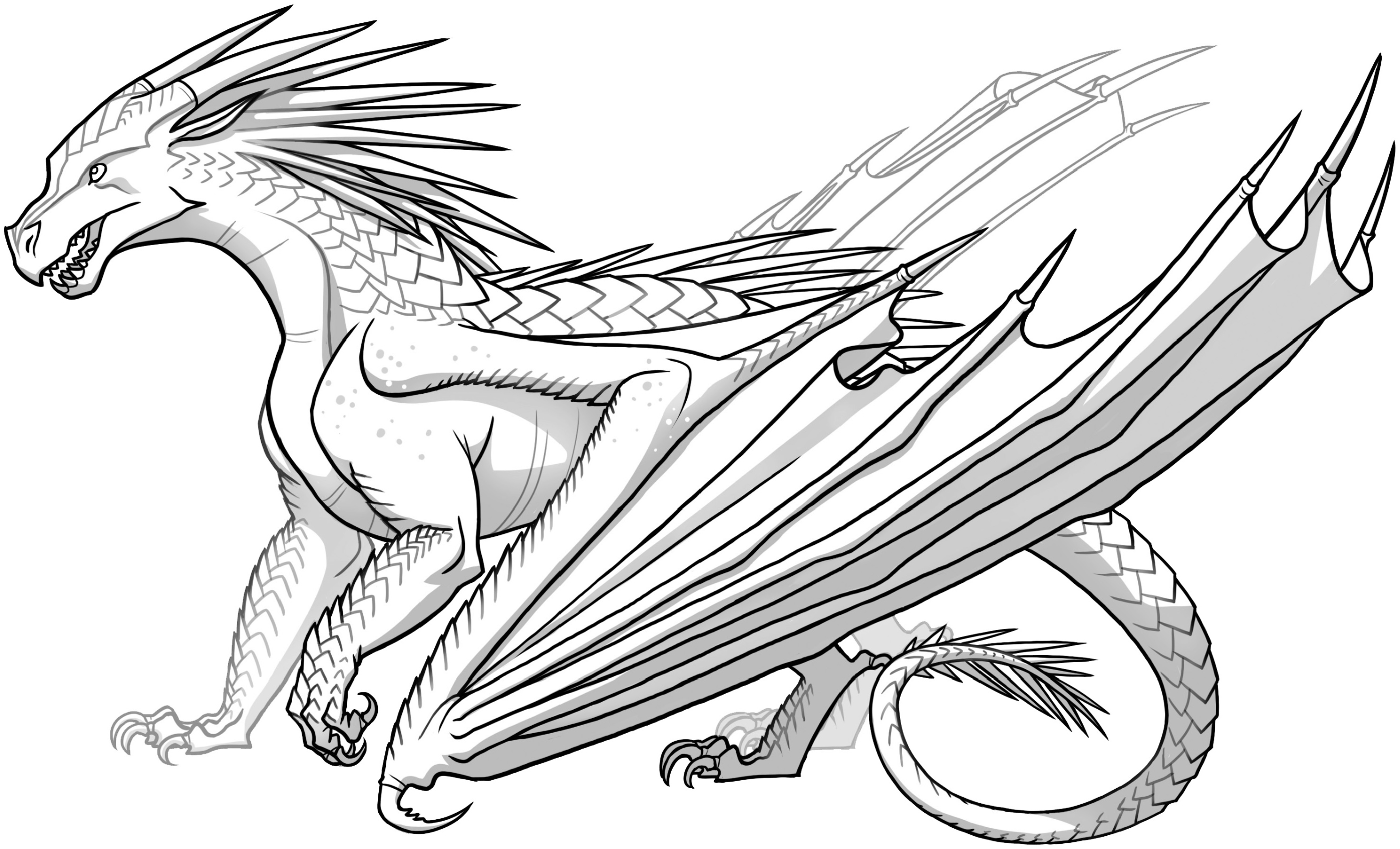 Fire dragon graphic black and white sketch Vector Image