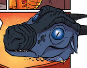 StuffednightwingTBN
