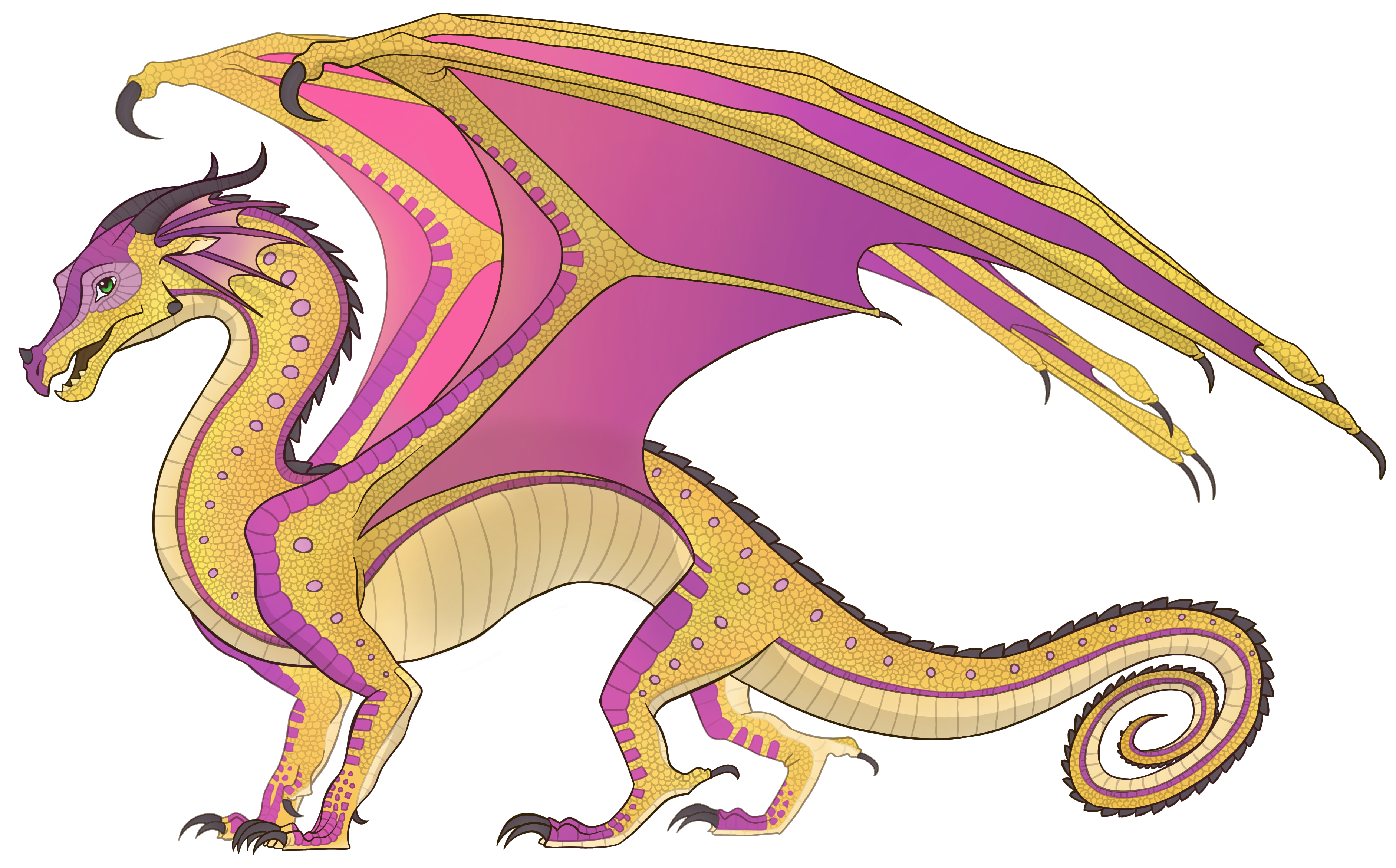 printable wings of fire dragons