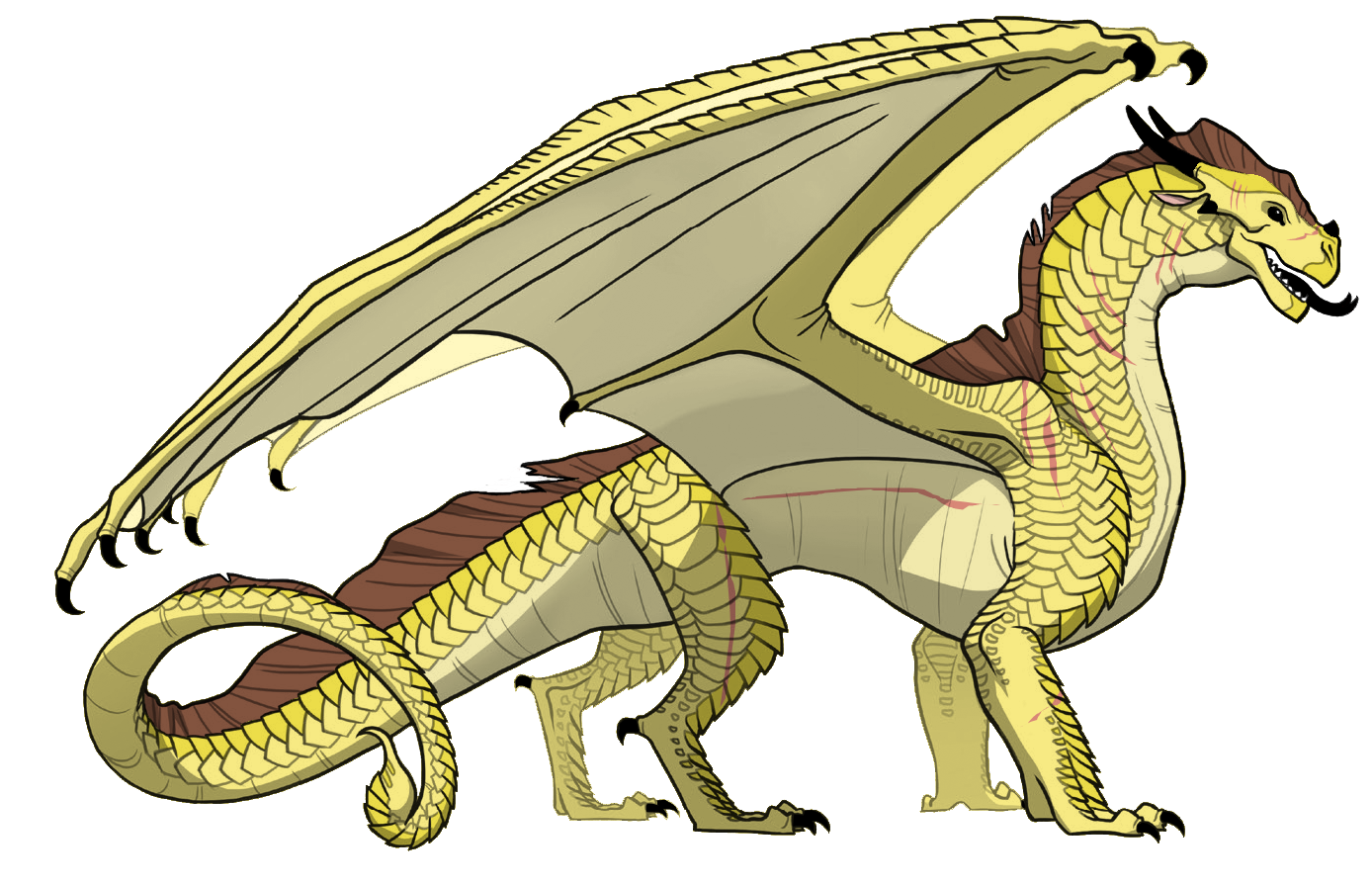 picture Thorn Qibli Wings Of Fire Sandwing user blog burn the sandwing some random