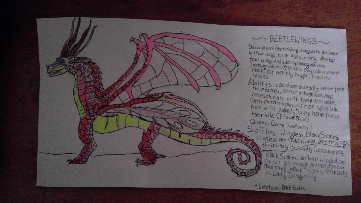 User blogcosmicrainstorm/What I think BeetleWings are like Wings of Fire Wiki Fandom