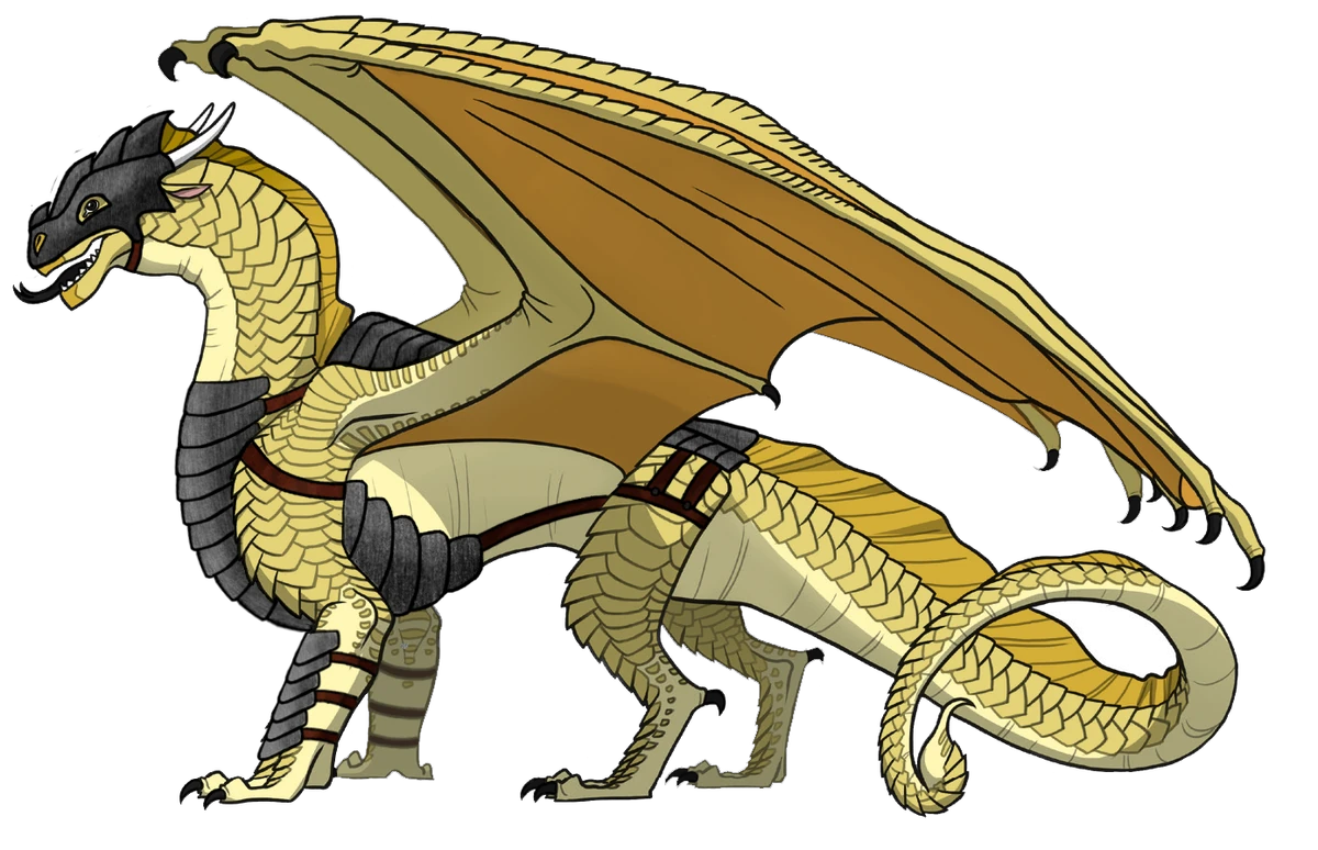 User blogWhispering Death/Dragon Armor Sets Wings of Fire Wiki Fandom