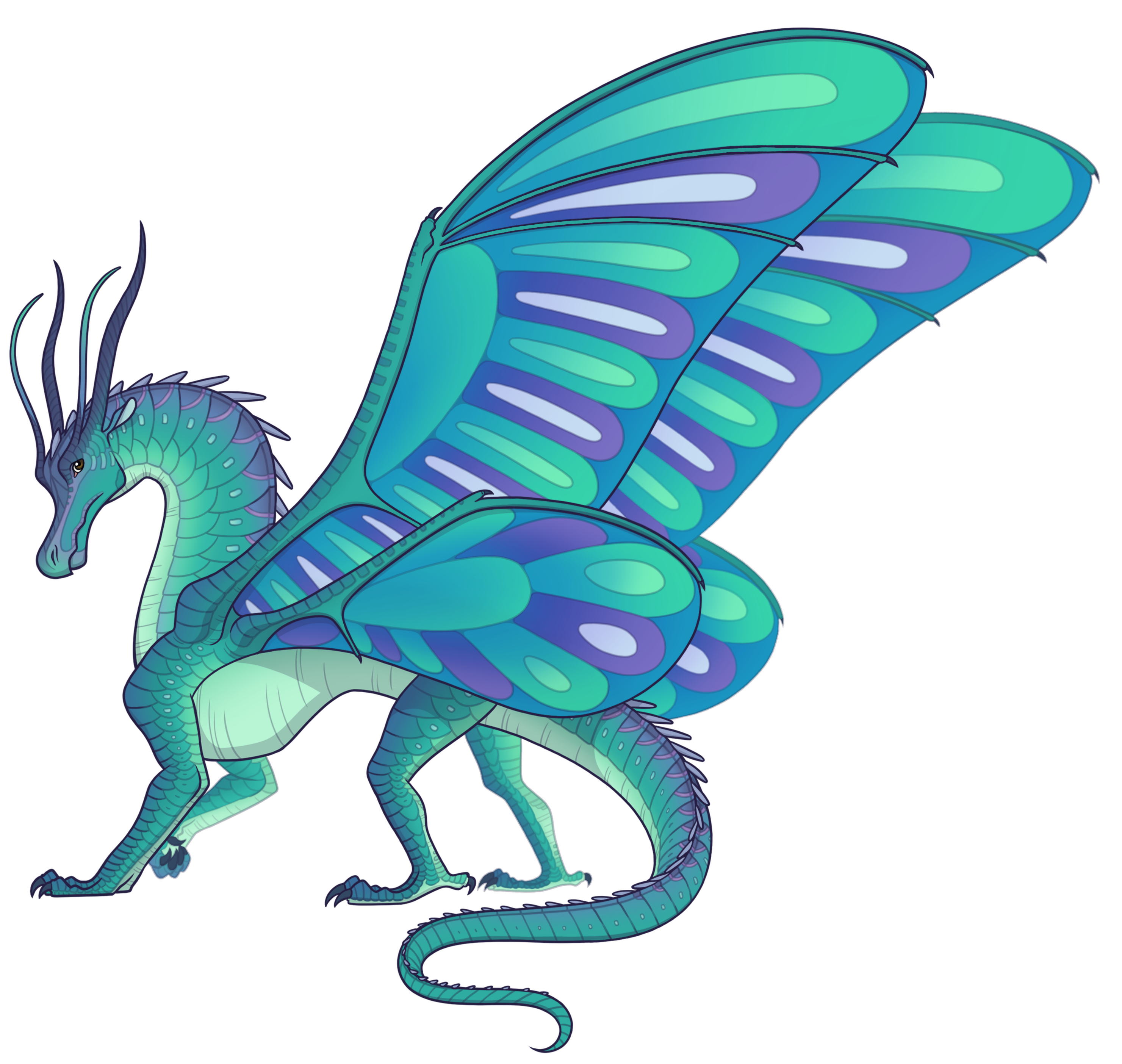 How to Draw, Wings of Fire Wiki