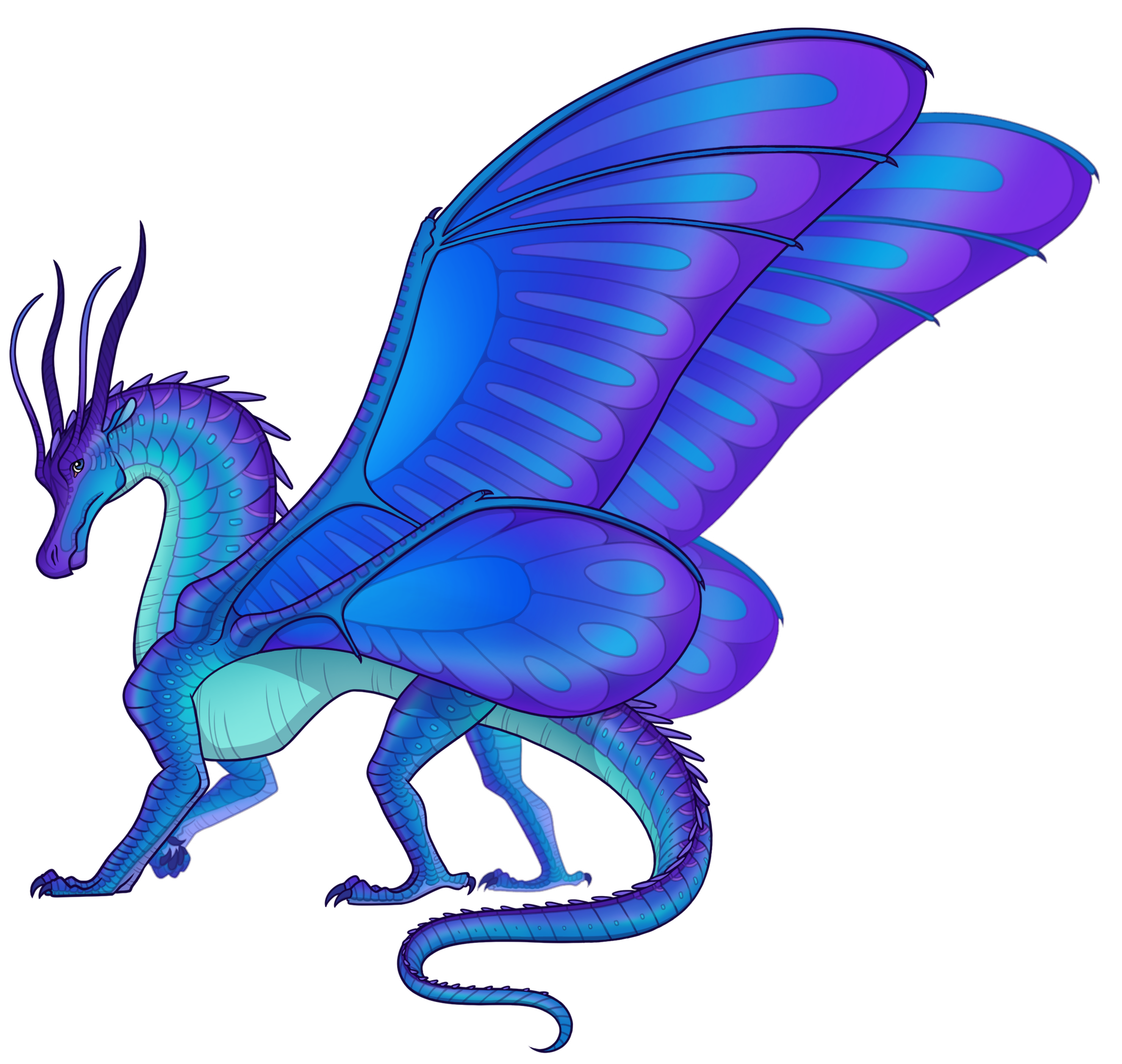 Blue Wings Of Fire Wiki Fandom