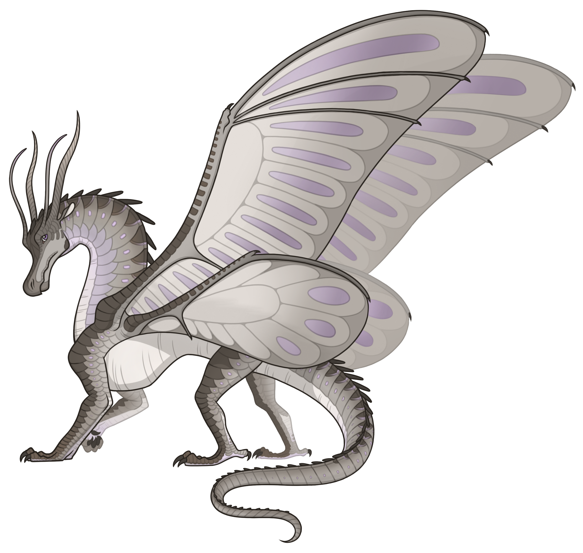 Dragonslayer, Wings of Fire Wiki