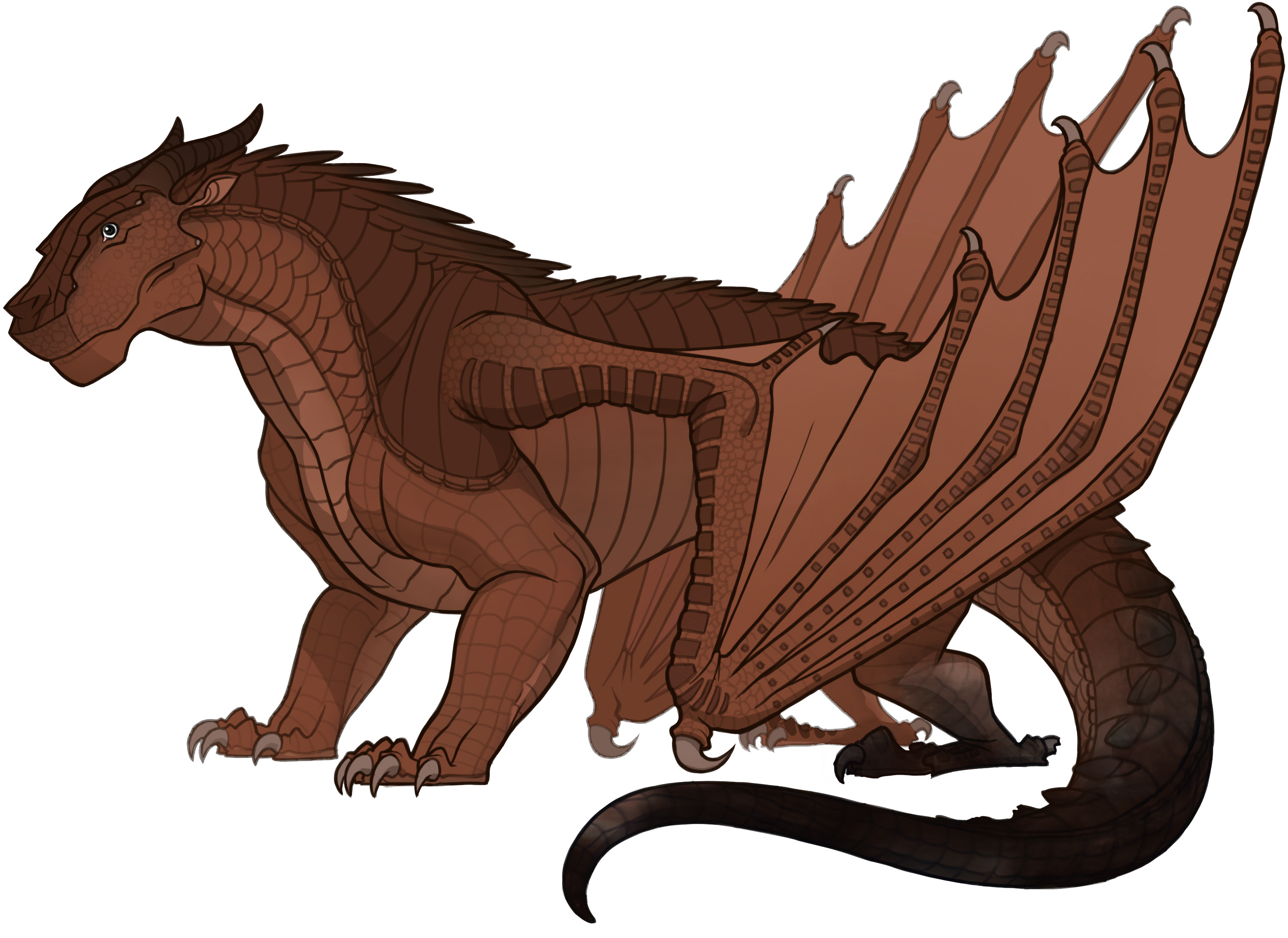 Dragonslayer, Wings of Fire Wiki