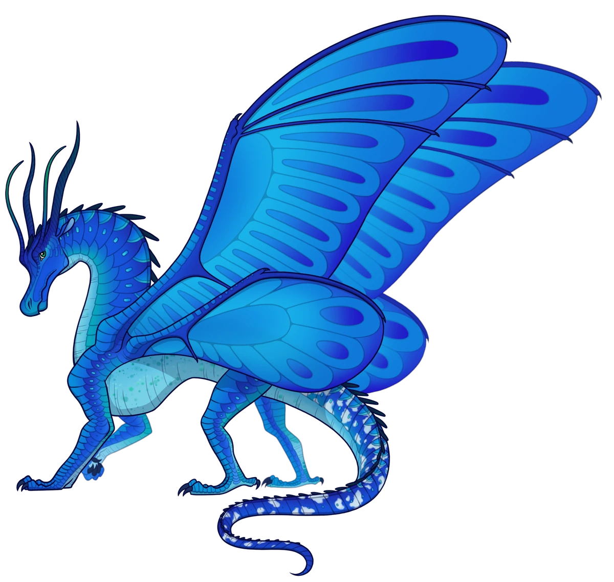 Morpho Wings of Fire Wiki Fandom