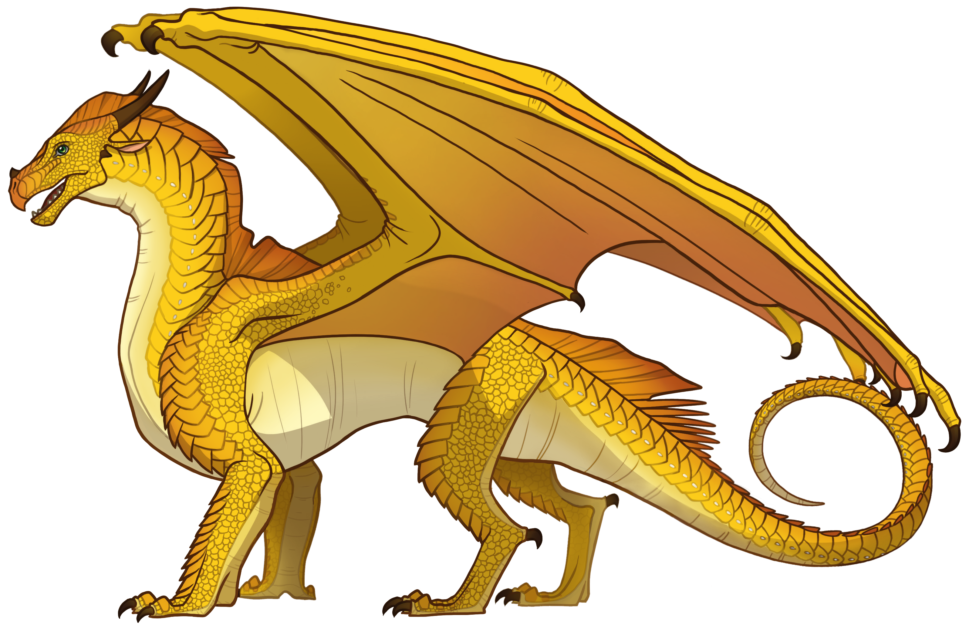 what type of wings of fire dragon am i