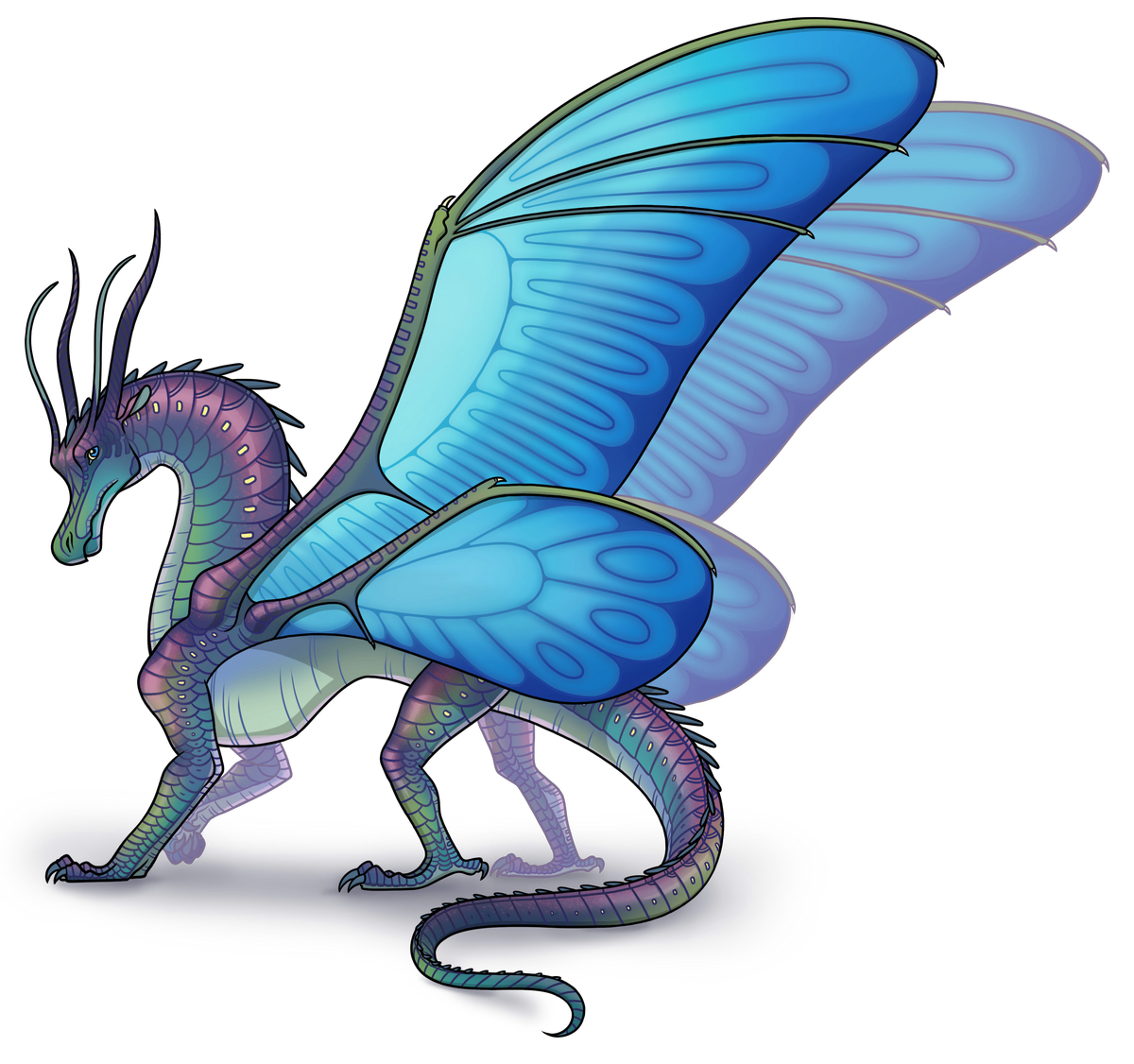 Silkwings Wings Of Fire Wiki Fandom 1616