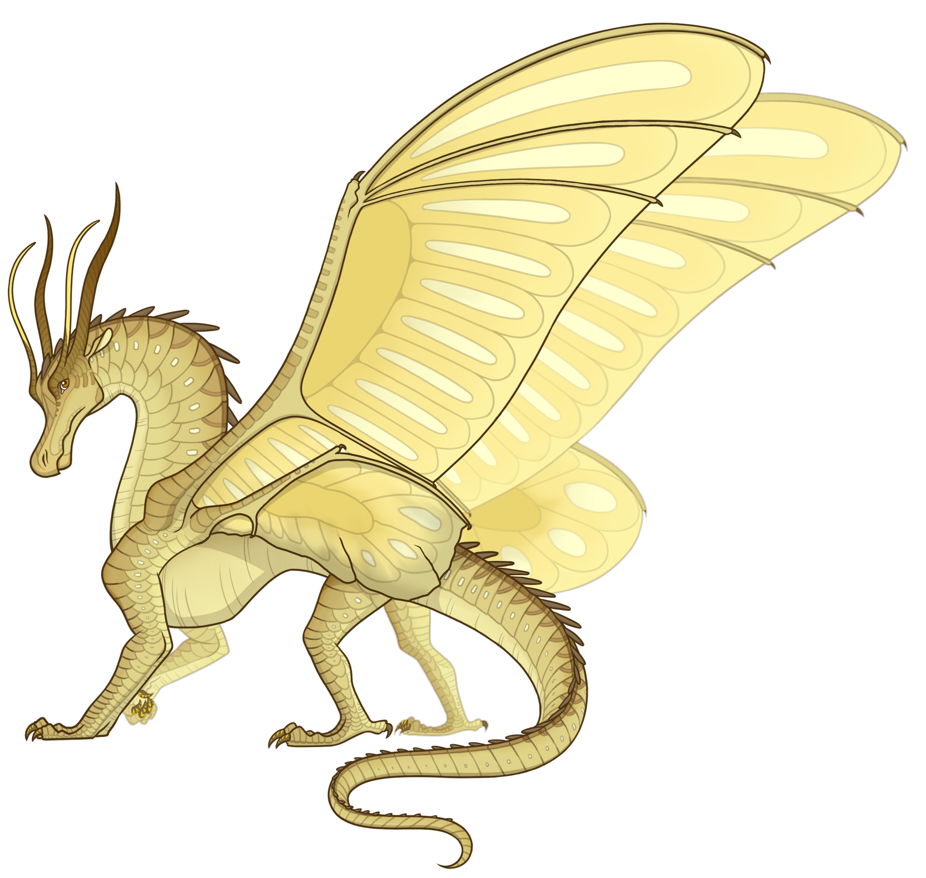 How to Draw, Wings of Fire Wiki