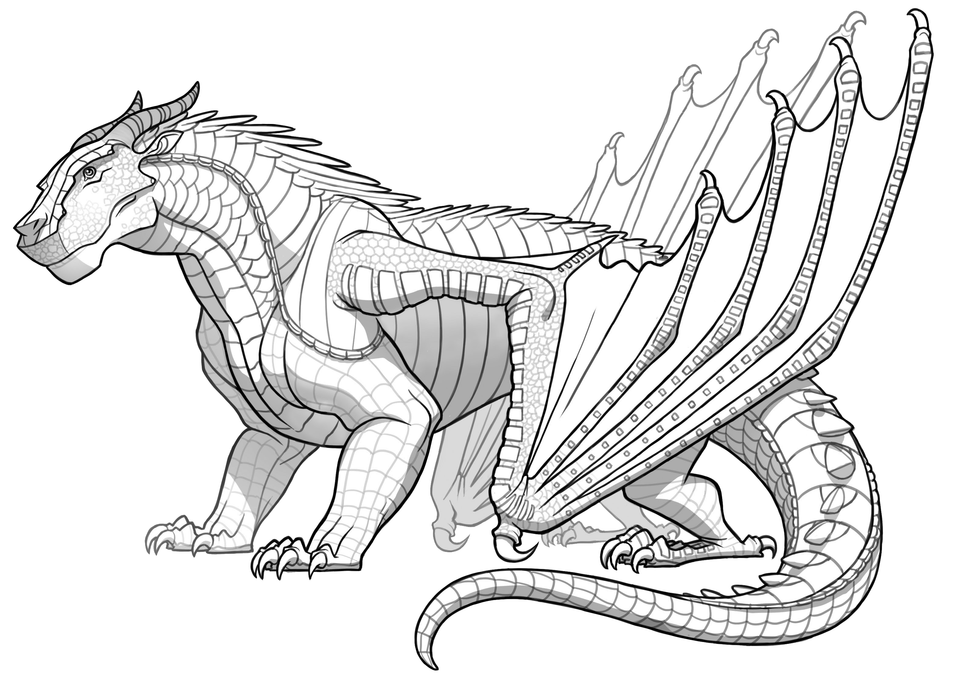 drawing of wings of fire dragonet