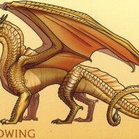 Featured image of post Dragon Years To Human Years Wings Of Fire Have a look around and see what we re about