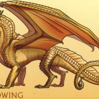 Featured image of post Dragon Years To Human Years Wings Of Fire Have a look around and see what we re about