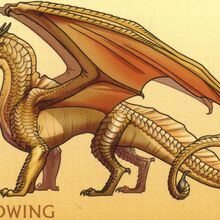 Featured image of post Wof Dragon Years To Human Years 1 dragon year 6 human years at this stage the dragonet grows very rapidly developing speech and flight skills