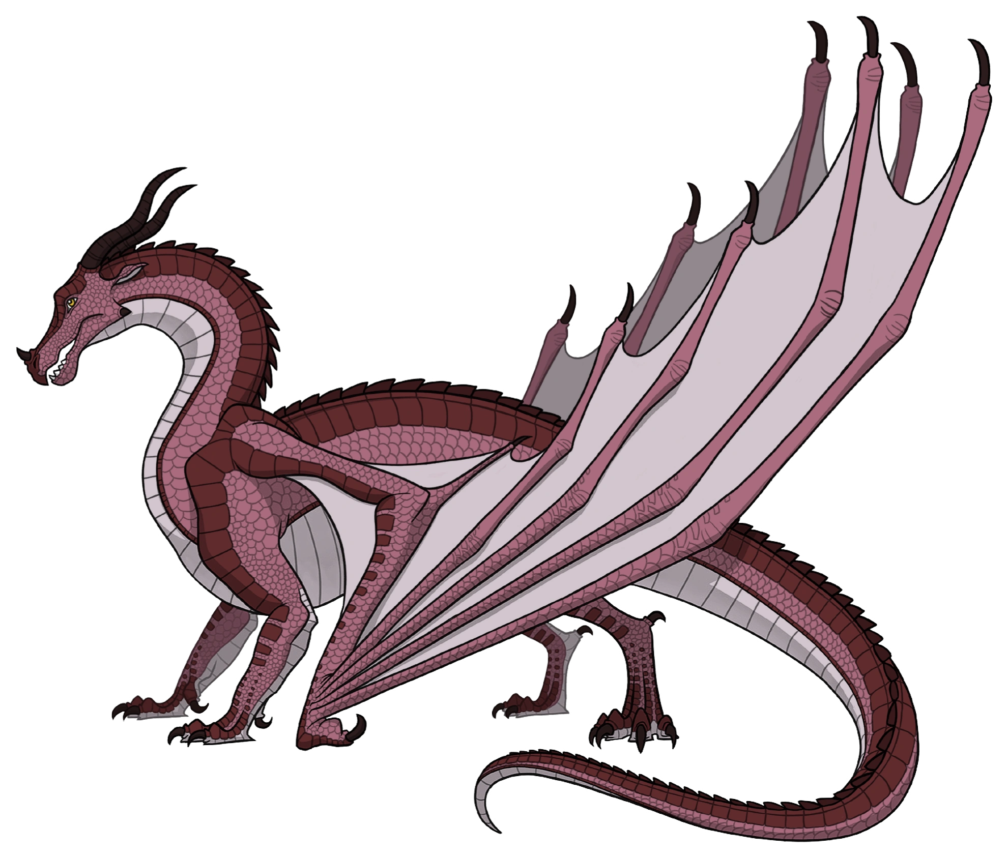 Osprey Wings Of Fire Wiki Fandom
