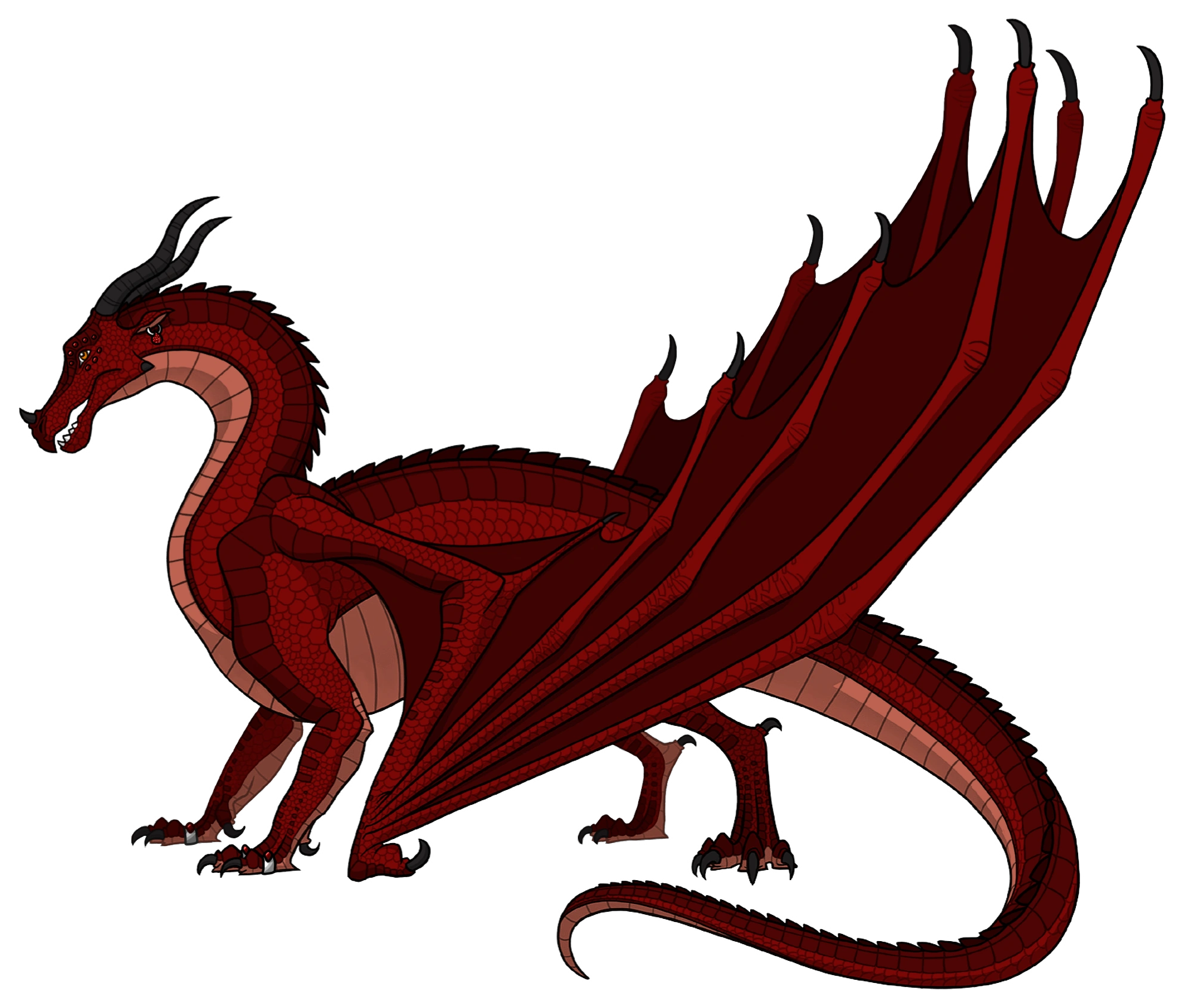 Ruby Wings Of Fire Wiki Fandom