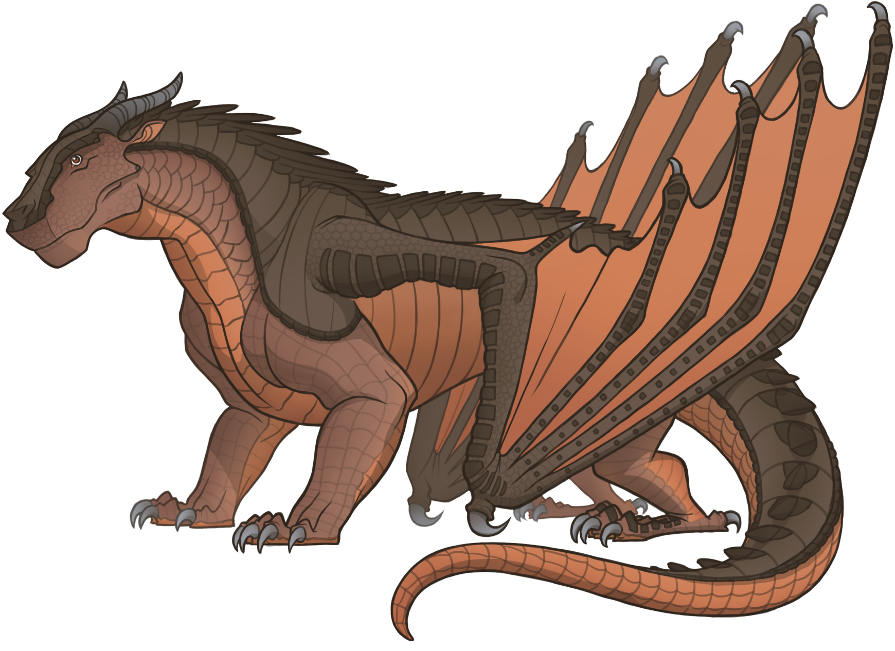 Sepia, Wings of Fire Wiki