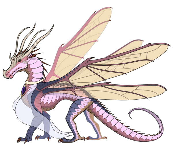 Orchid, Wings of Fire Fanon Wiki