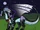 Shadow (Shadowseer)