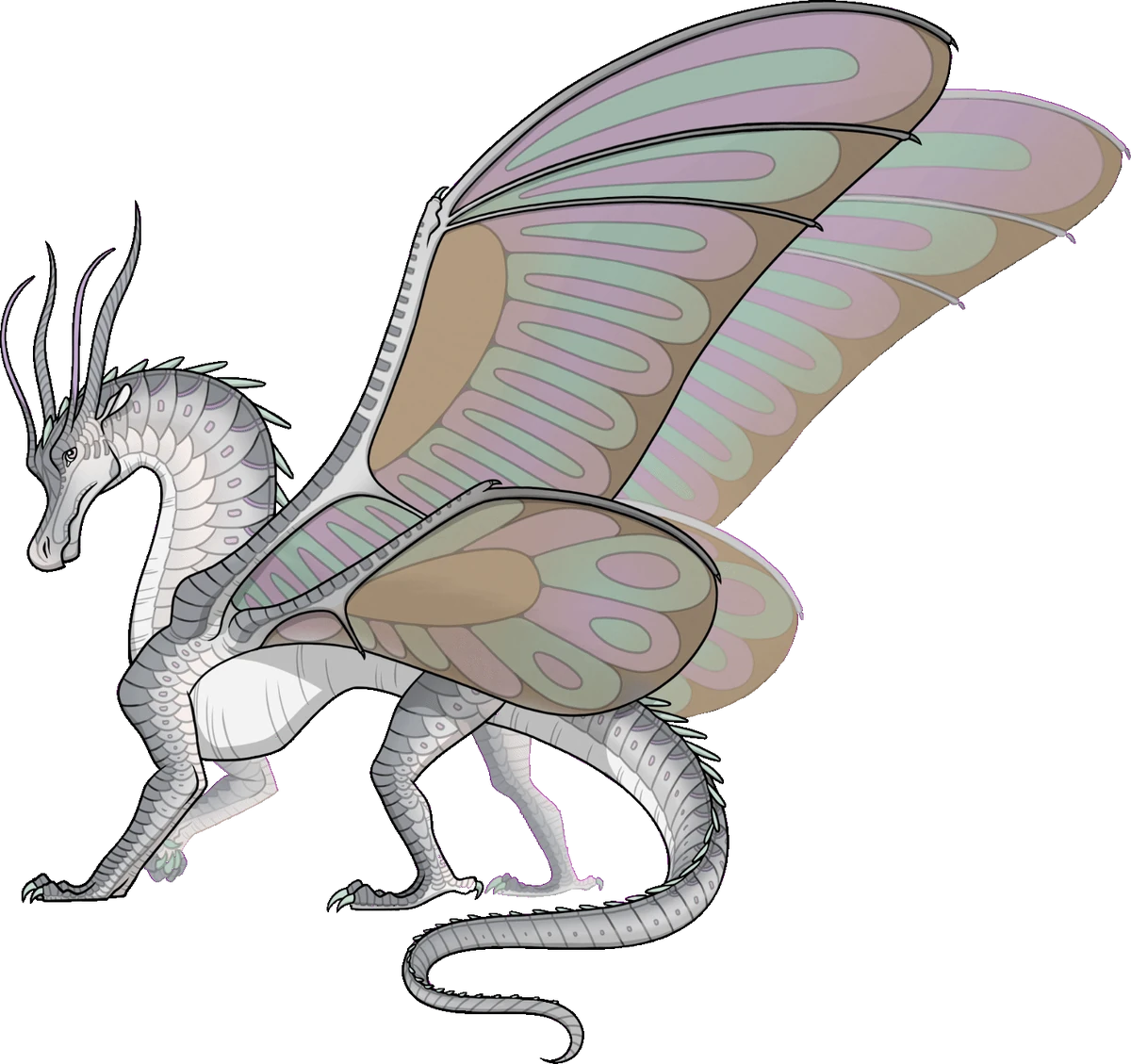 Silver (SilkWing) | Wings of Fire Fanon Wiki | Fandom