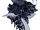 Astrophel