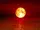 Bloodmoon (shadow)