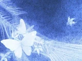 Snowdreamer
