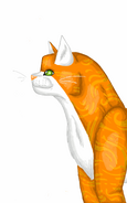 Indus as an adorable, Eclipse drawn Cat. You know you want to take him home with you.