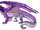 Aruana