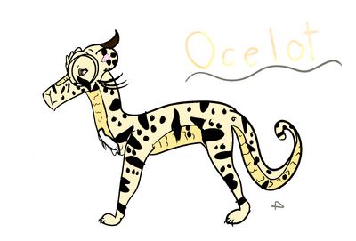 Ocelot ref