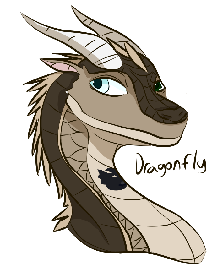 Dragonfly | Wings of Fire Fanon Wiki | Fandom Dragonfly | Wings of Fire Fanon Wiki | Fandom