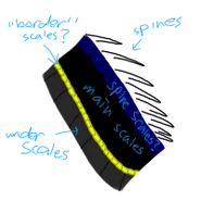 Names lol.png (22 KB) Old scale ref by zzzcreeper