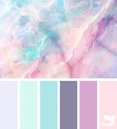 her color palette + design aesthetic